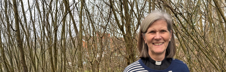 Anne Gell, Archdeacon of Wells